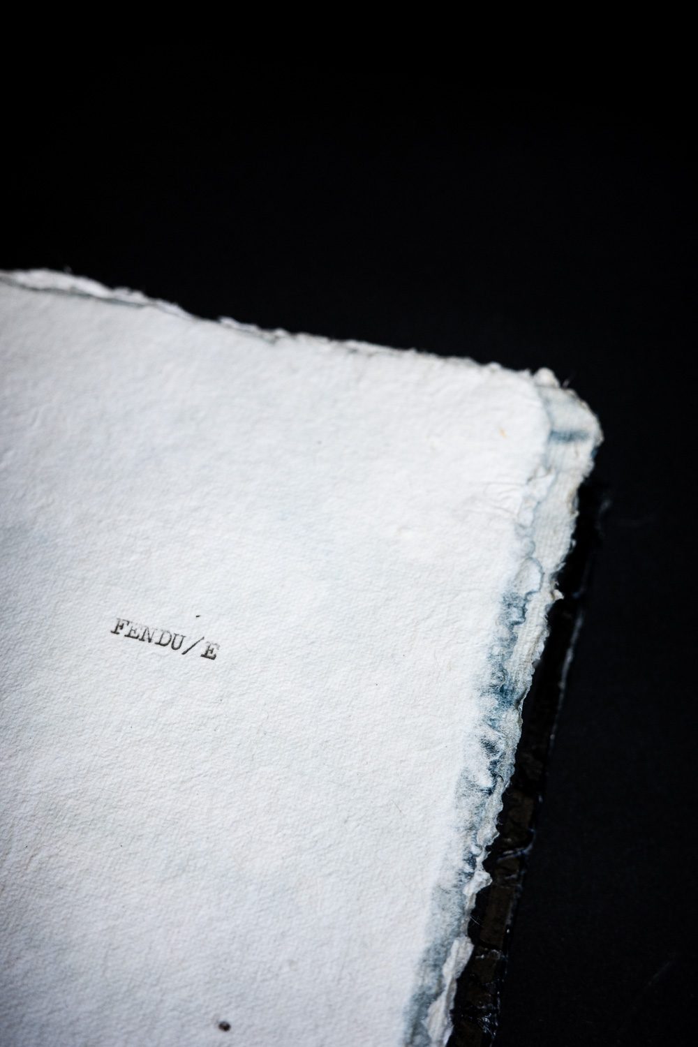 FENDU/E Artist's Book