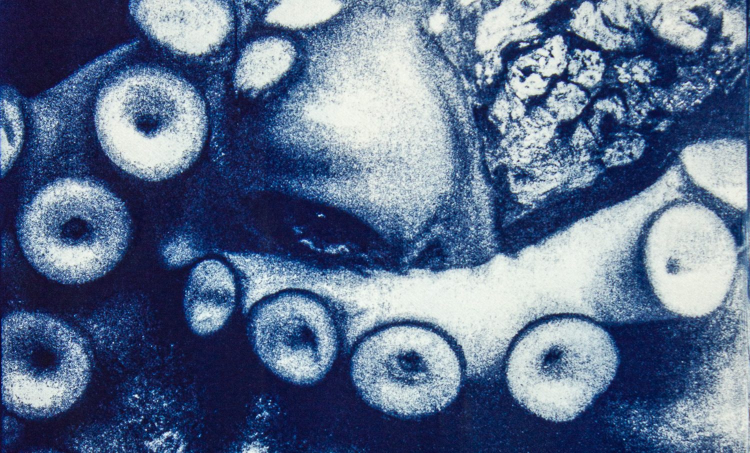 Le Poulpe au regard de soi(e)