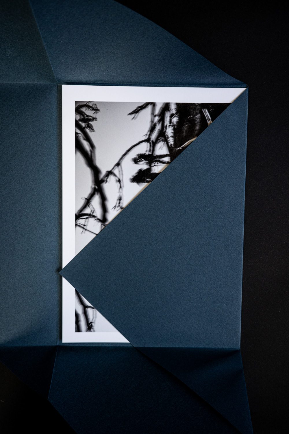 Fine Art Print